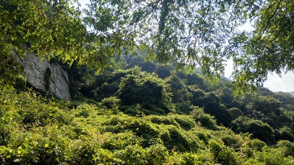 高冠瀑布风景,高冠瀑布游记