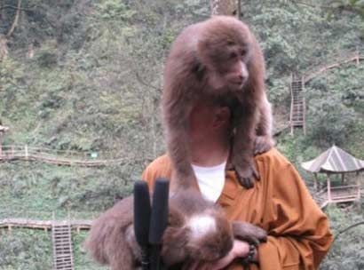 佛系看球,佛系看球欧洲杯