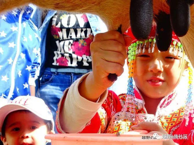 一生总要去一次草原，我的草原自由行之旅