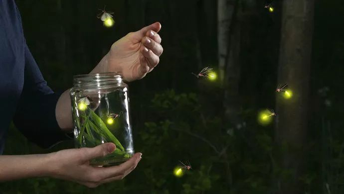 用水粉颜料画萤火虫视频,星空梦幻水粉教程