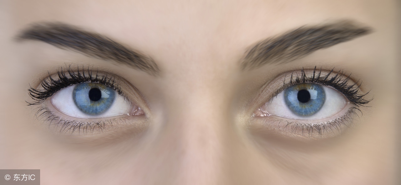 眉毛注意事项及禁忌,眉毛有哪些变化需引起重视