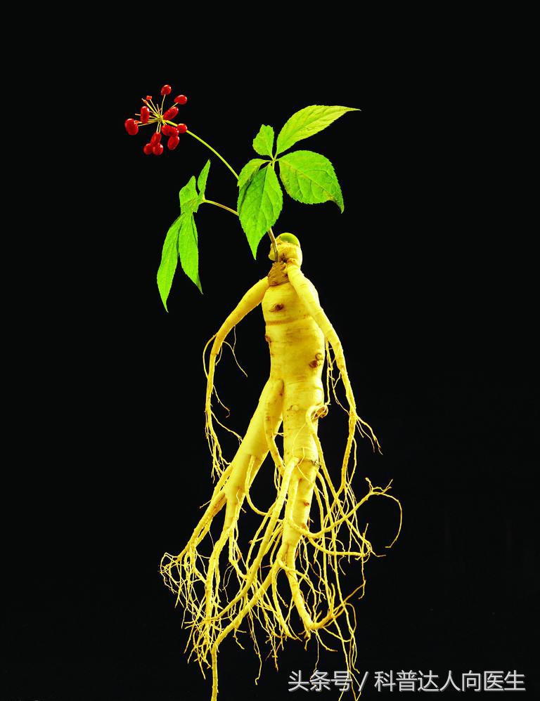 滥用滋补药其实反而会伤身,补血药品的禁忌