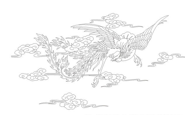 凤凰白描线稿图,百鸟之王凤凰图片唯美