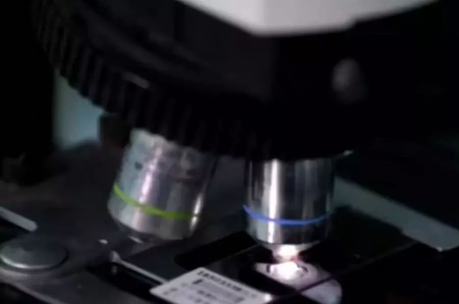 冲马桶，盖？还是不盖？实验结果惊到所有人······