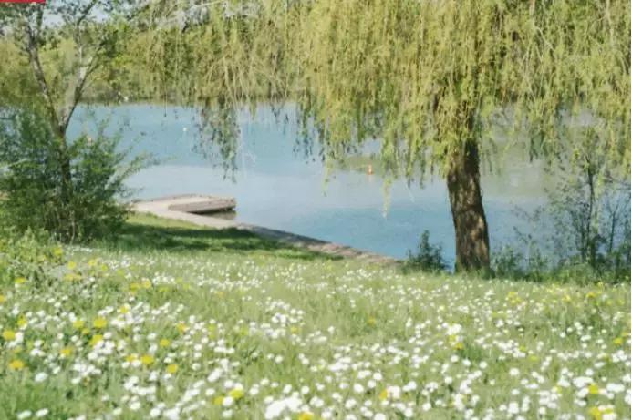 比基尼欧美风夏日沙滩,法国2019夏日沙滩比基尼泳装