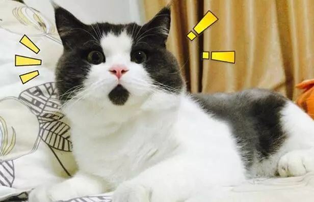 鎻愰啋寰俊閲嶆柊鐧诲綍鏄惁璇堥獥,鎻愰啋寰俊鎵爜楠楀眬鐨勫箍鎾