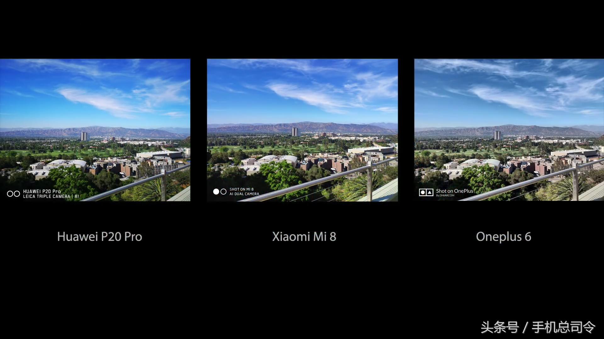 王自如手机拍照测评,王自如惊艳的照片