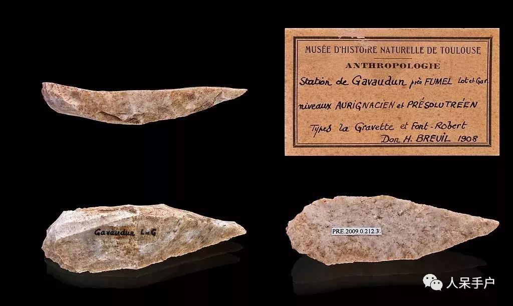 这个昆虫告诉我们人类何时开始穿上衣服？