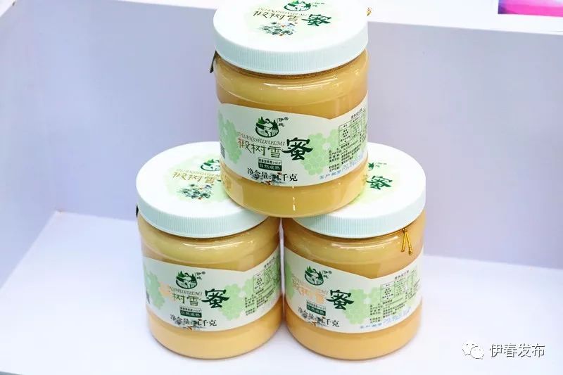 聚焦｜七月“森博”热林城