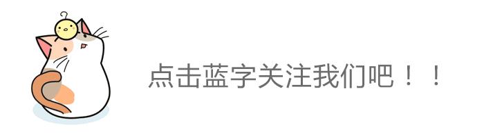 濮阳国字号学校名单,濮阳教育示范学校