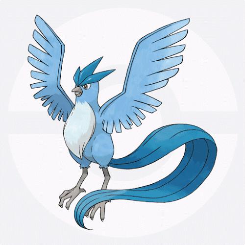 都有哪些宠物小精灵,十大最火的宠物小精灵