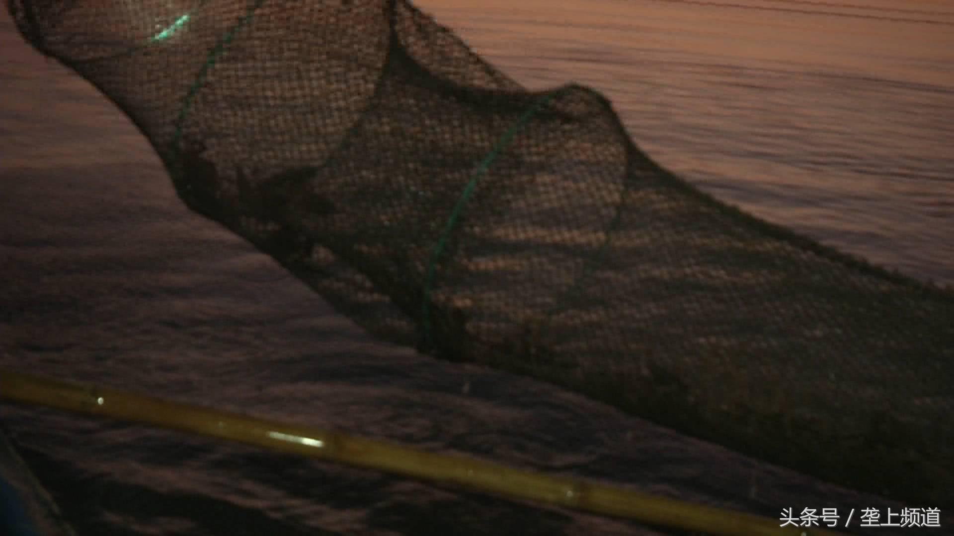 抓捕小龙虾的视频,小龙虾抓捕