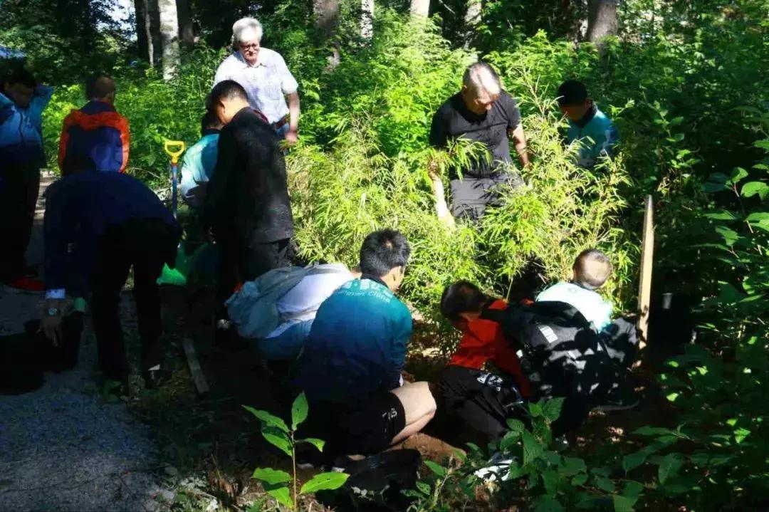 古堰足球促中芬友谊长存