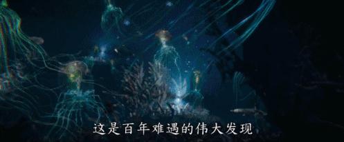 2024暑期档电影,今年暑期档电影有哪些动画