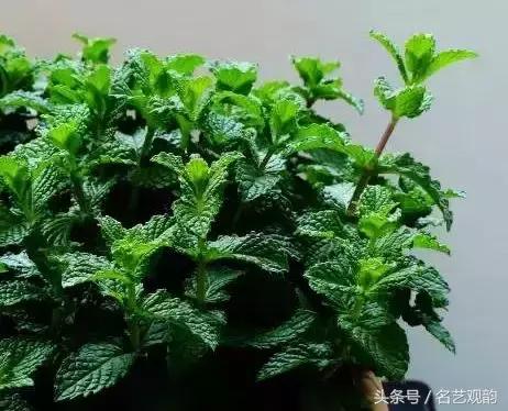 中式书房好物,书房中式装修