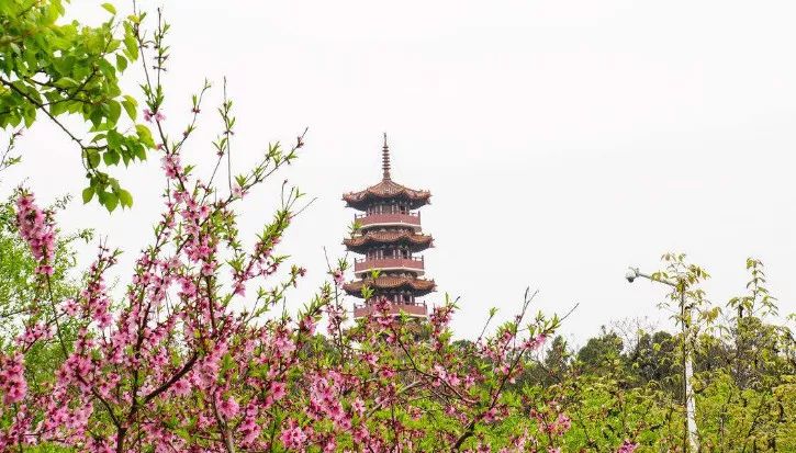 徐州人，请不要狂！