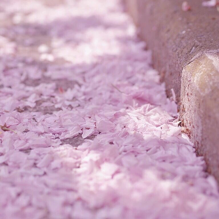 鏆栧績鎯呰瘽涔︾,鏆栧績鎯呰瘽涔︾鍙ュ瓙