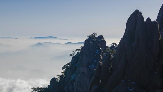 近期接喜接财的生肖,得福进财的三大生肖