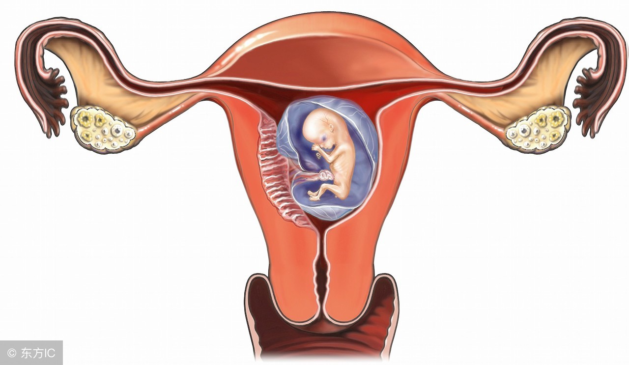 怀孕流产后,这个时间段别“同房”,男女都该注意!