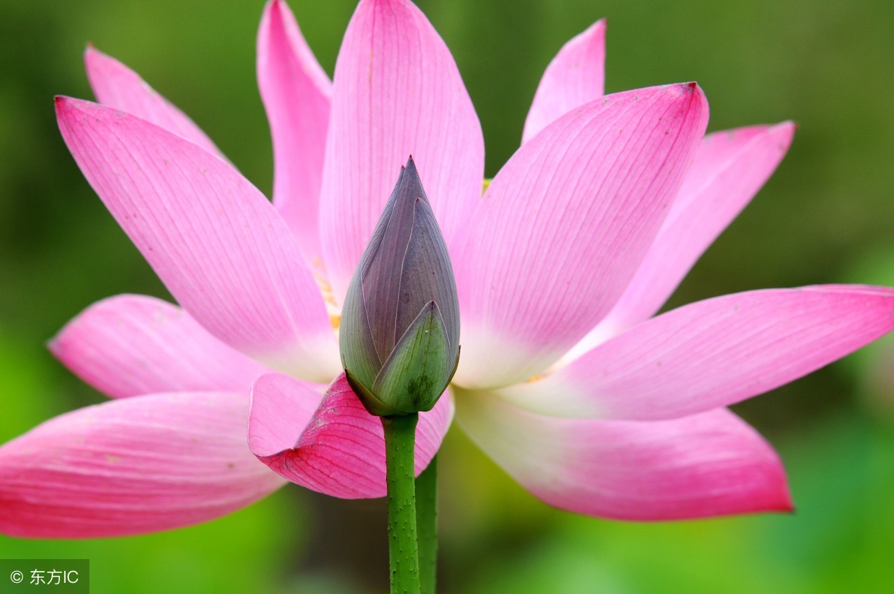 心情很糟糕的随笔,心情很糟糕的短文