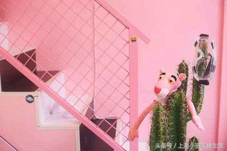 魔都小仙女:30次粉色暴击燃爆你的少女心!