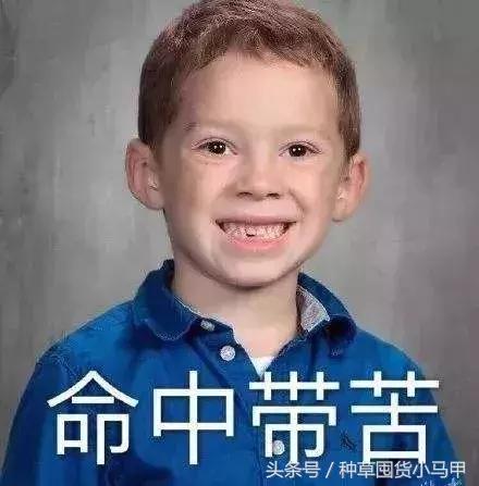 淘宝9元9包邮技巧,淘宝9块9包邮专区在哪里