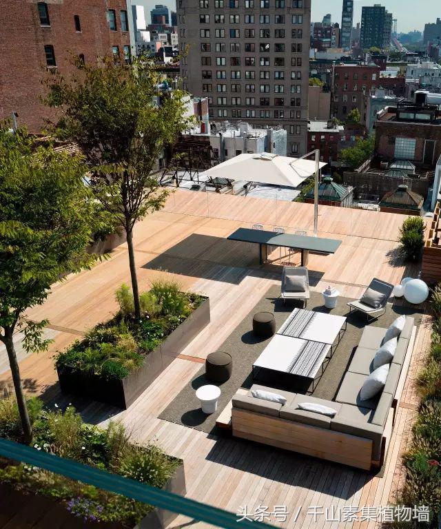 她用三年时间打造了一片露台花海,露台打造花海