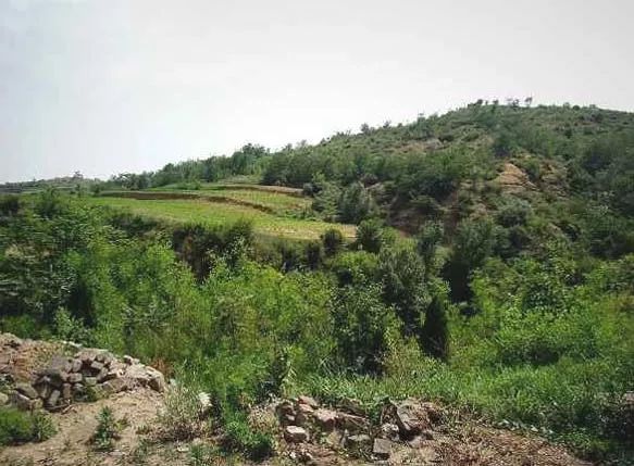 县名解析：晋城高平市地名来历