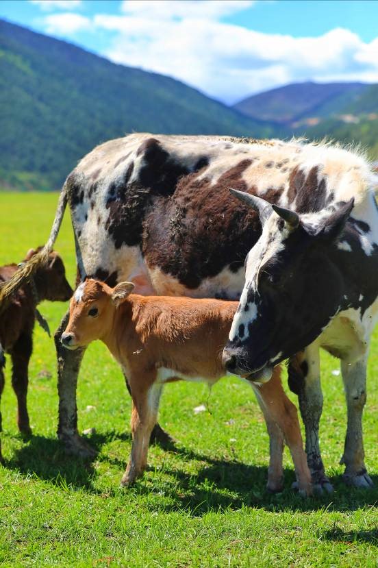 EOS看世界选择,让你看到如此不同的摩登新语