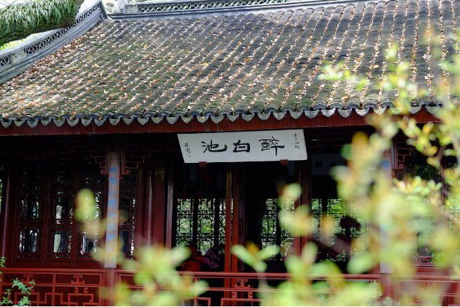 上海杭州旅游感受,去过上海有什么感受