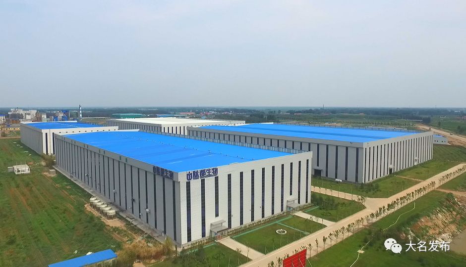 今年咱大名投资上亿的大项目、好项目，你知道几个？