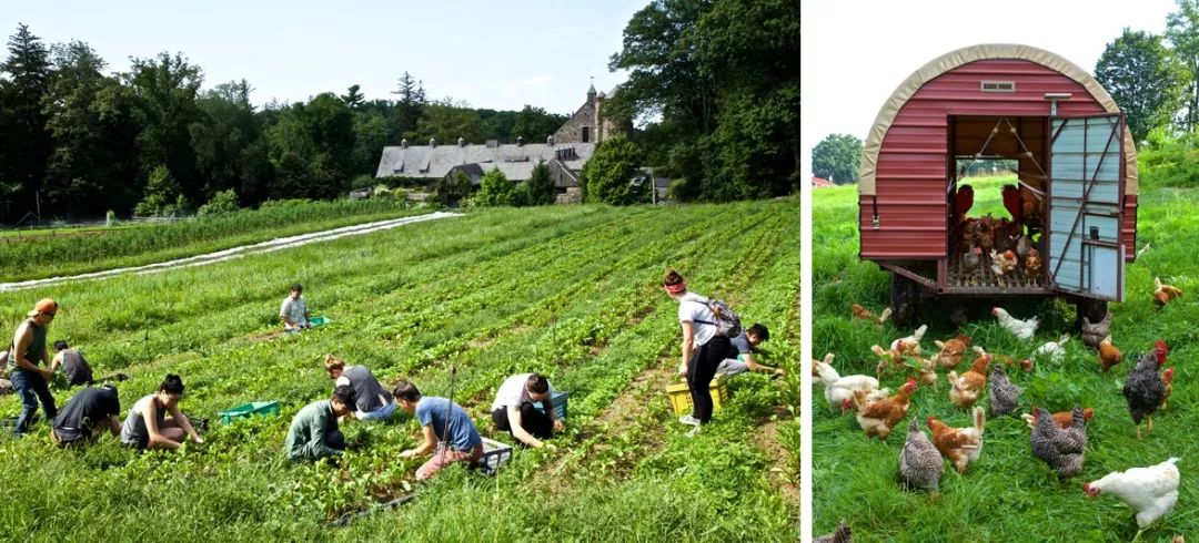 这家奇葩餐厅“坑”了中国食客,却征服了米其林食探,连奥巴马夫妇都是它的粉丝!