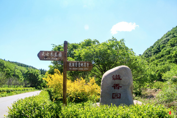 抚顺深度游攻略游记,抚顺旅游攻略自由行