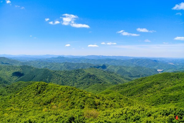 抚顺攻略,抚顺深度游攻略游记