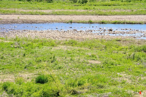 涓囧瓧鏀荤暐,涓囧瓧瑙ｆ瀽鏀荤暐