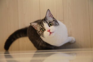 足球到底是football还是soccer,足球是单纯的足球吗