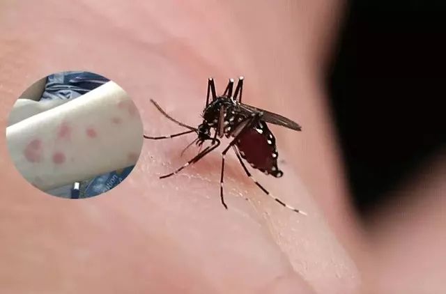 淘宝已逛烂？其实还藏着这些零差评好物~