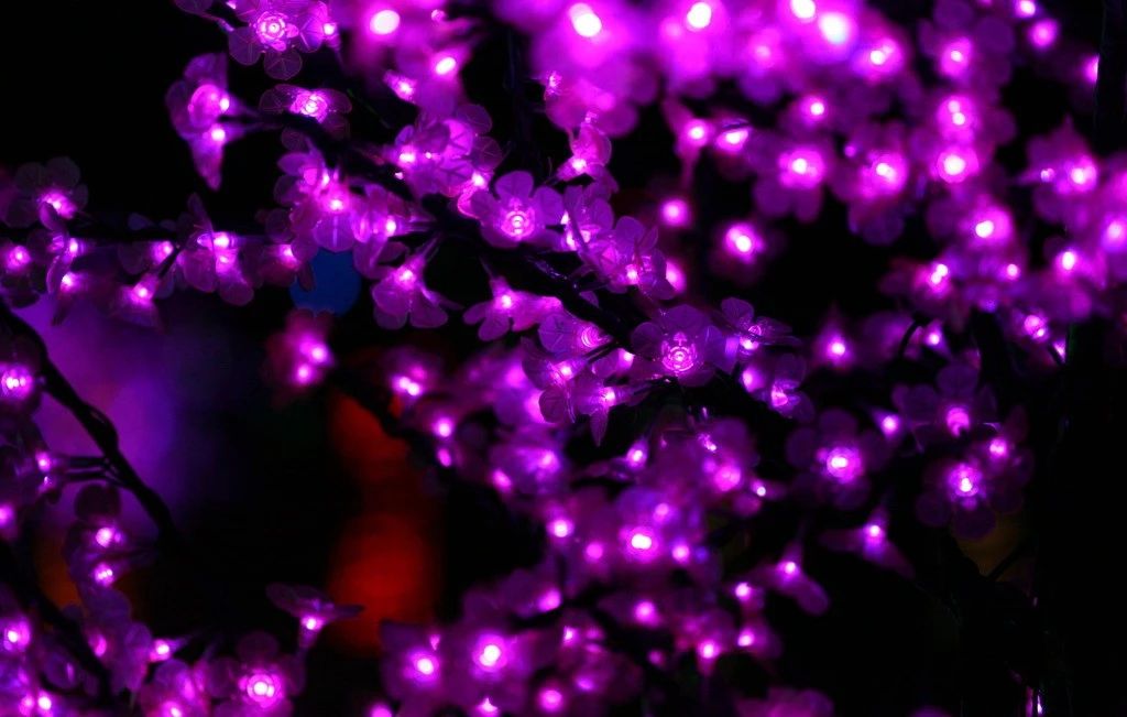 云南的火把节真热闹,云南最热闹的火把节