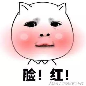 比nars还贵的粉饼,比nars还便宜的化妆品牌