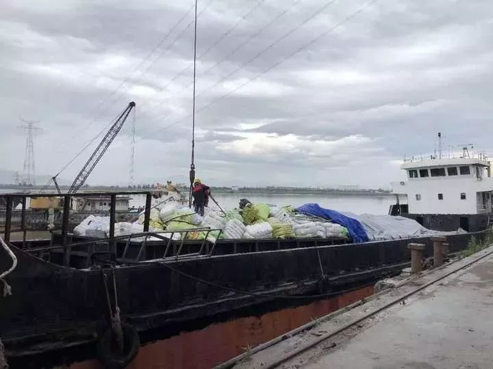 临沂爱淘外贸的快看!数百吨外国人扔掉的衣服被截!你淘的衣服或来自太平间
