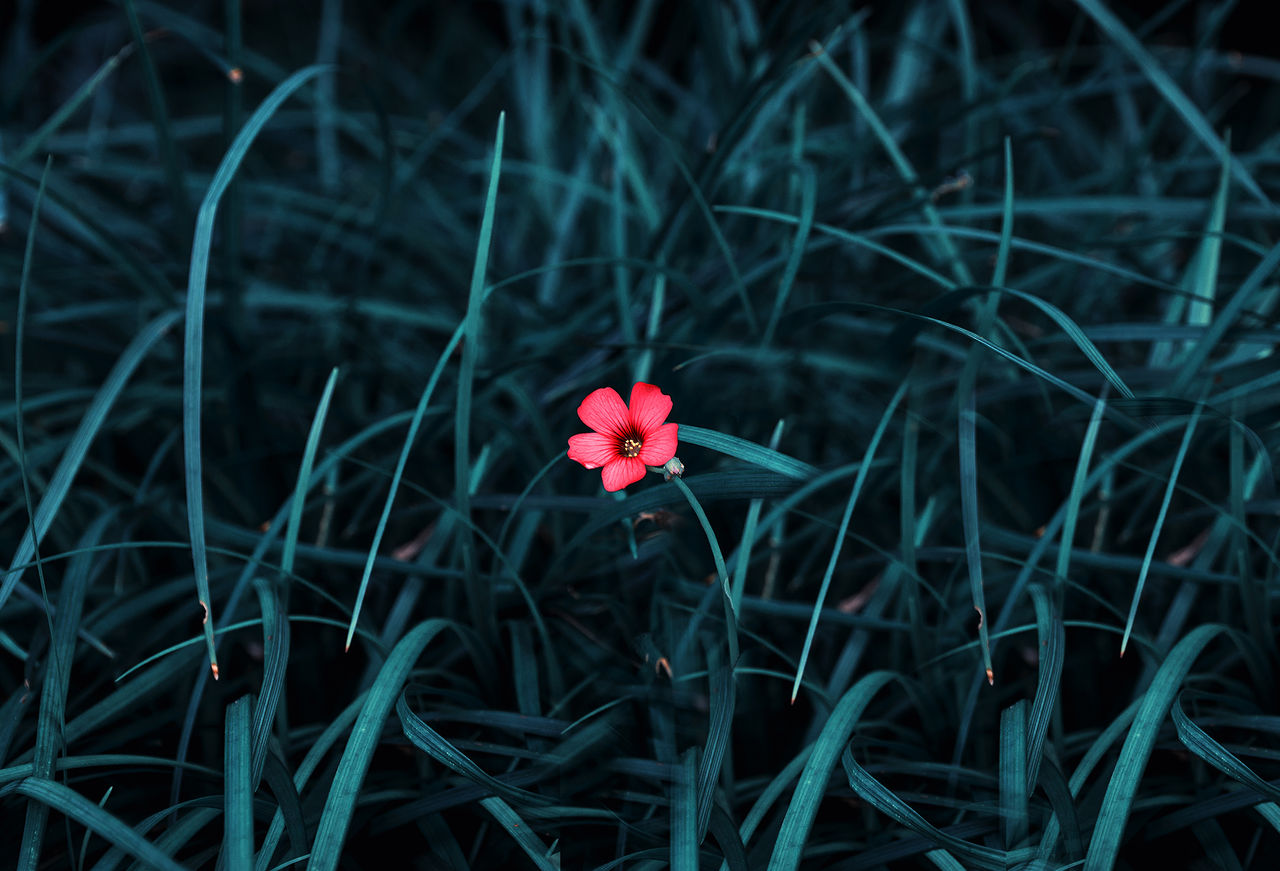 何为物质的概念？明白这点才能论证唯物和唯心，不然都是盲人摸象