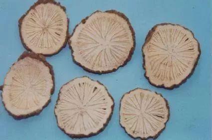 为什么外国人可以接受鱼腥草,外国人有多抗拒鱼腥草