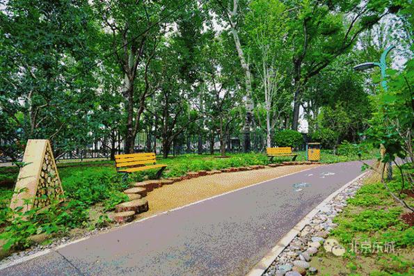 工体与原来的区别,工体为什么要改造