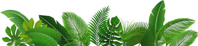 想要上天咩？空中瑜伽pick一下