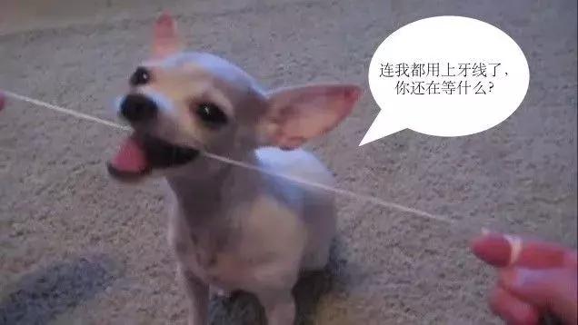 原来蛀牙是这样修复,牙齿开始蛀牙怎样防止恶化