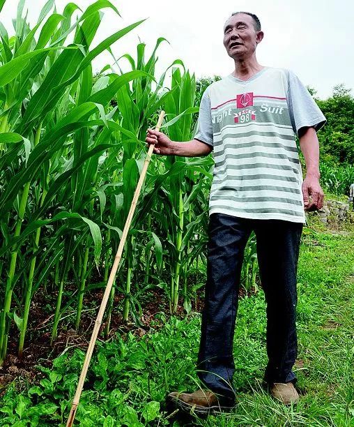 2023荆楚楷模上榜人员名单,荆楚楷模年度人物2022短片