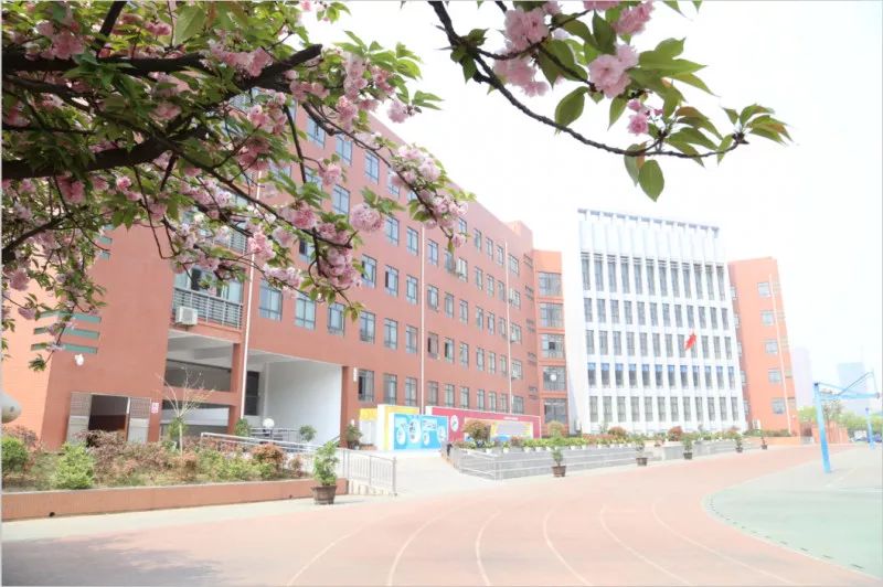 伍家岗排名前十的小学,快看金湾这所学校入选省级称号