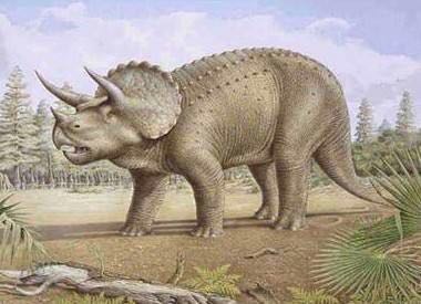 对恐龙的认识简说,儿童认识恐龙的视频