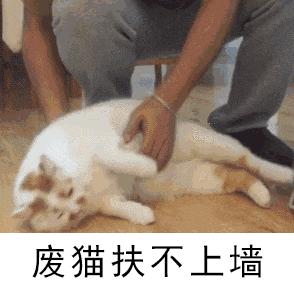 为救选票绿营官员“人仗猫势”遭轰：为私欲不在乎伤害*进党民**