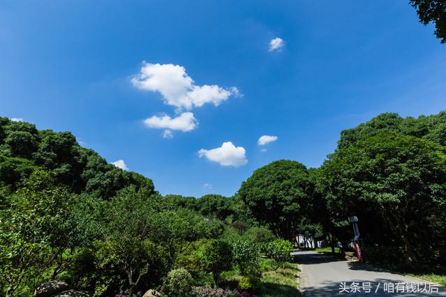 邂逅禅意，梦回江南，到无锡过一个“佛系”小假期